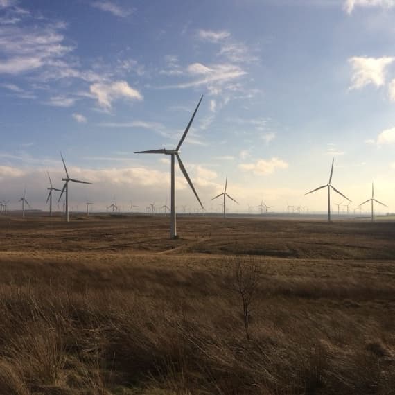 Pannelli fotovoltaici di un impianto seguito da M&M Consulenza